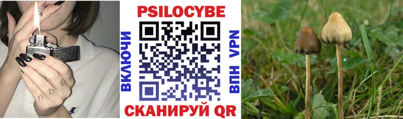 купить сайты Котово маркетплейс состав Псилоцибиновые грибы мицелий
